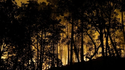 Die Feuerwehr kämpft mit rund 400 Kräften und Löschflugzeugen gegen den Brand im Wald von Fontainebleau.  (Foto: Geoffroy Van Der Hasselt/AFP/dpa)