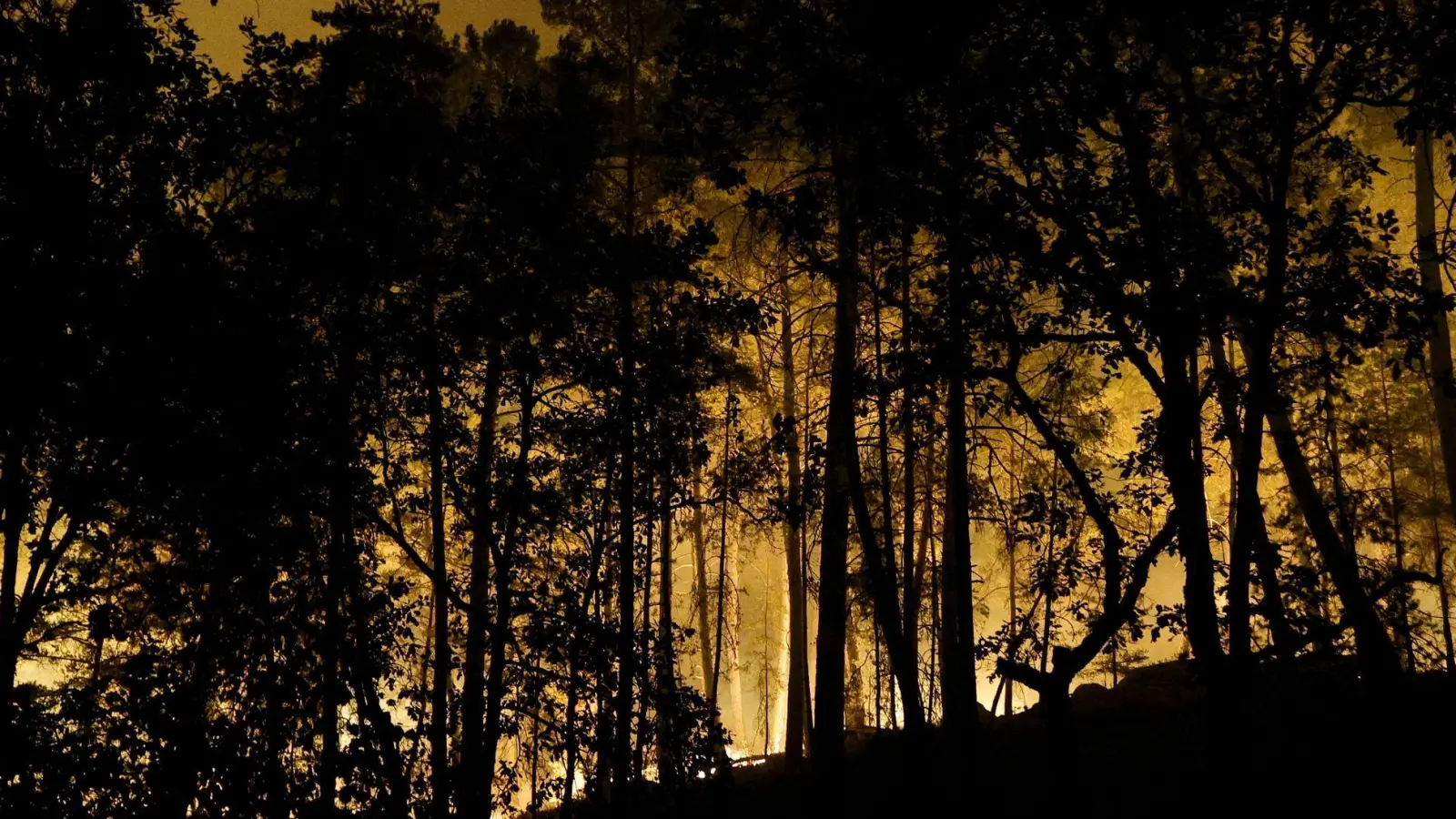 Die Feuerwehr kämpft mit rund 400 Kräften und Löschflugzeugen gegen den Brand im Wald von Fontainebleau.  (Foto: Geoffroy Van Der Hasselt/AFP/dpa)
