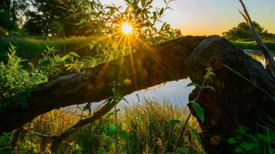 Die Sonne zeigt sich am Wochenende nicht so häufig. (Symbolbild) (Foto: Patrick Pleul/dpa)