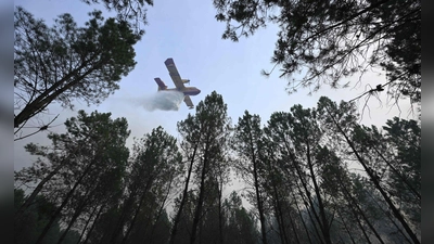 Der Brand bei Luglon hat inzwischen rund 1.600 Hektar Wald und Buschland erfasst. Etwa 650 Menschen wurden vorsorglich evakuiert. (Foto: Gaizka Iroz/AFP/dpa)