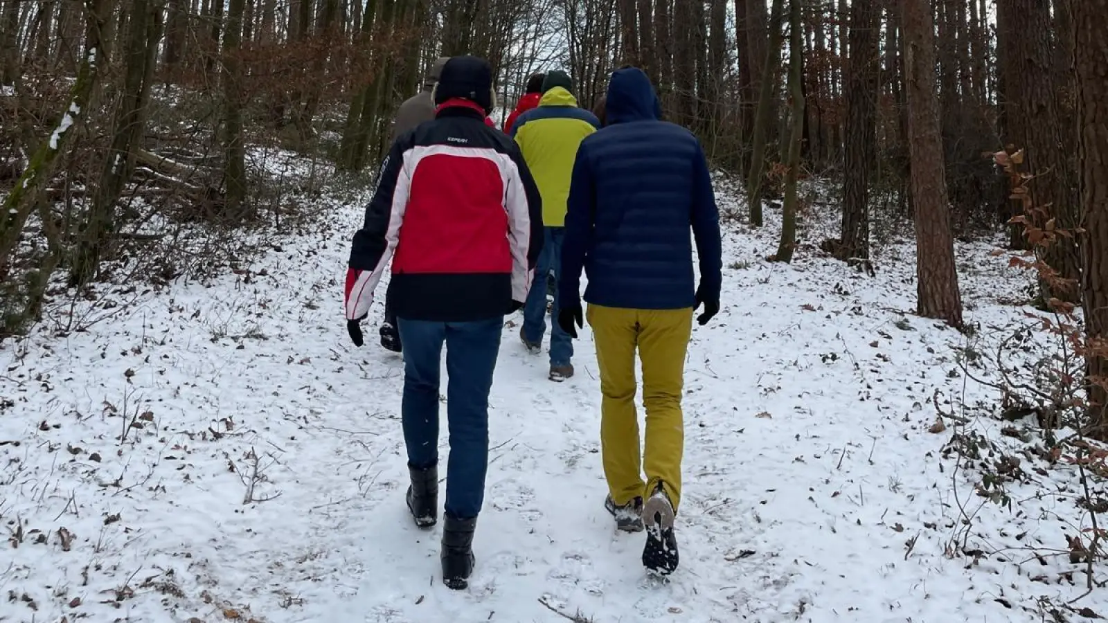 Frische Pfade finden viele Spaziergänger in den Wäldern. (Foto: Ute Niephaus)