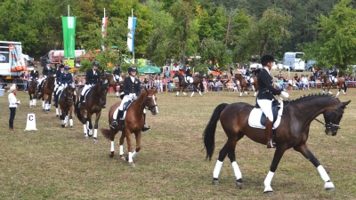 Das Charhoffest findet seit 2014 alle zwei Jahre – mit Ausnahme während der Pandemie&nbsp;– in Feuchtwangen statt. (Archivbild: Peter Tippl)