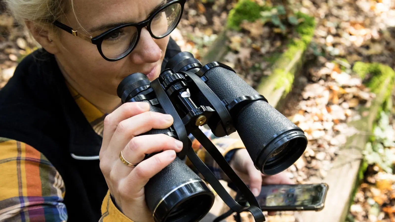 Nicht sicher, welcher Vogel da zwitschert? Die App Merlin Bird ID hilft. (Foto: Christin Klose/dpa-tmn)