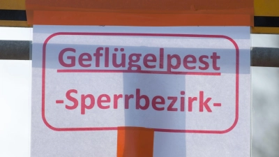 Auch bayerische Behörden warnen vor der Vogelgrippe. (Symbolbild) (Foto: Armin Weigel/dpa)