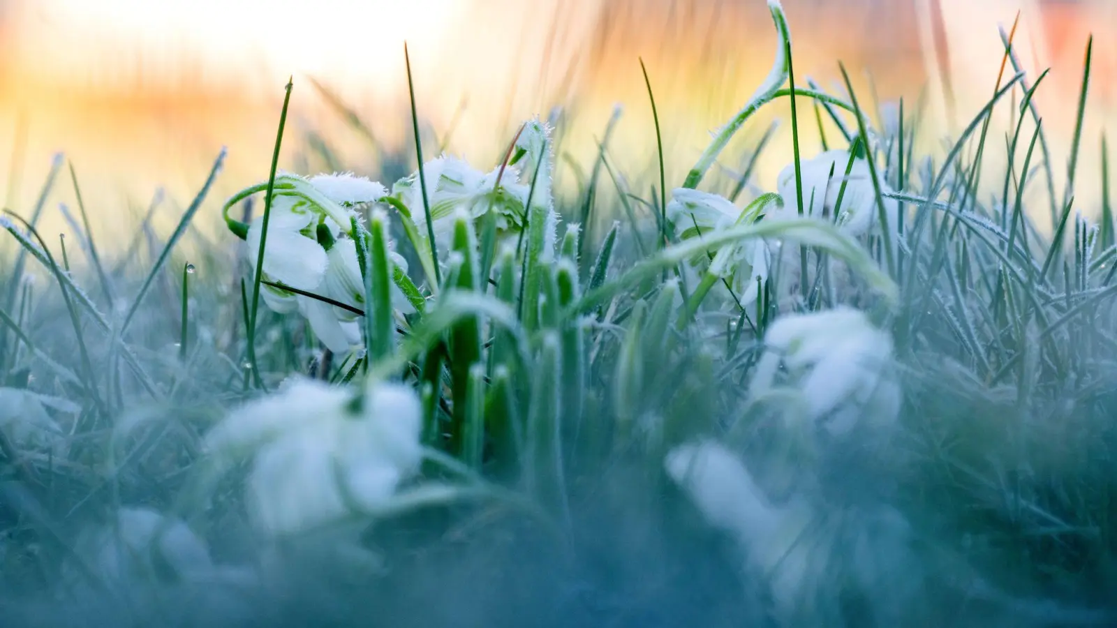 Der Oktober in Bayern: Ein ungewöhnlich warmer Herbstmonat mit starken Wetterkontrasten – von Föhnwinden und sommerlichen Temperaturen bis zu kühlen Frostnächten. (Symbolbild) (Foto: Pia Bayer/dpa)