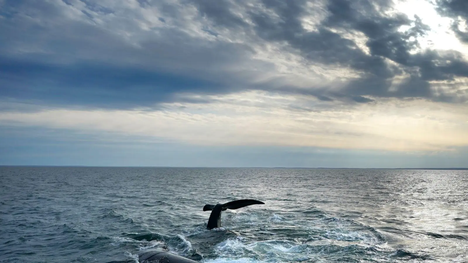 Erstmals gibt es ein UN-Abkommen zum Schutz der Hochsee. (Archivbild) (Foto: Robert F. Bukaty/AP)