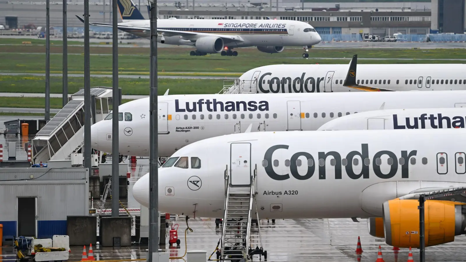 Bislang werden viele Condor-Passagiere von der Lufthansa nach Frankfurt geflogen.  (Foto: Arne Dedert/dpa)