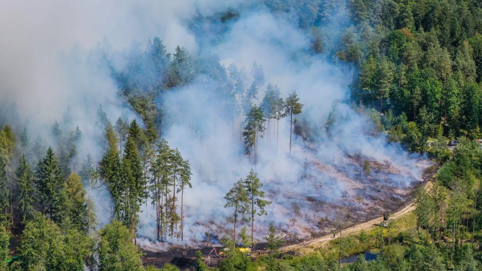 Mehr als 200 Einsatzkräfte haben zusammen mit Landwirten gegen den Waldbrand gekämpft. (Foto: Ferdinand Merzbach/NEWS5/dpa)