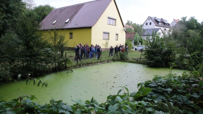 Vor Ort in Oberrosenbach machten sich die Mitglieder des Marktgemeinderates Flachslanden ein Bild vom Zustand des Löschwasserbeckens, dessen Erhaltung die Bürger fordern. (Foto: Alexander Biernoth)