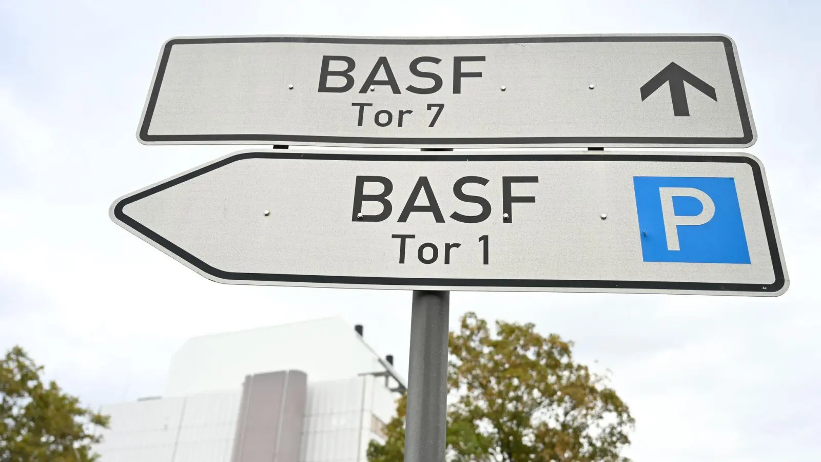 Wohin führt der Weg des weltgrößten Chemiekonzerns BASF? (Foto: Uwe Anspach/dpa)