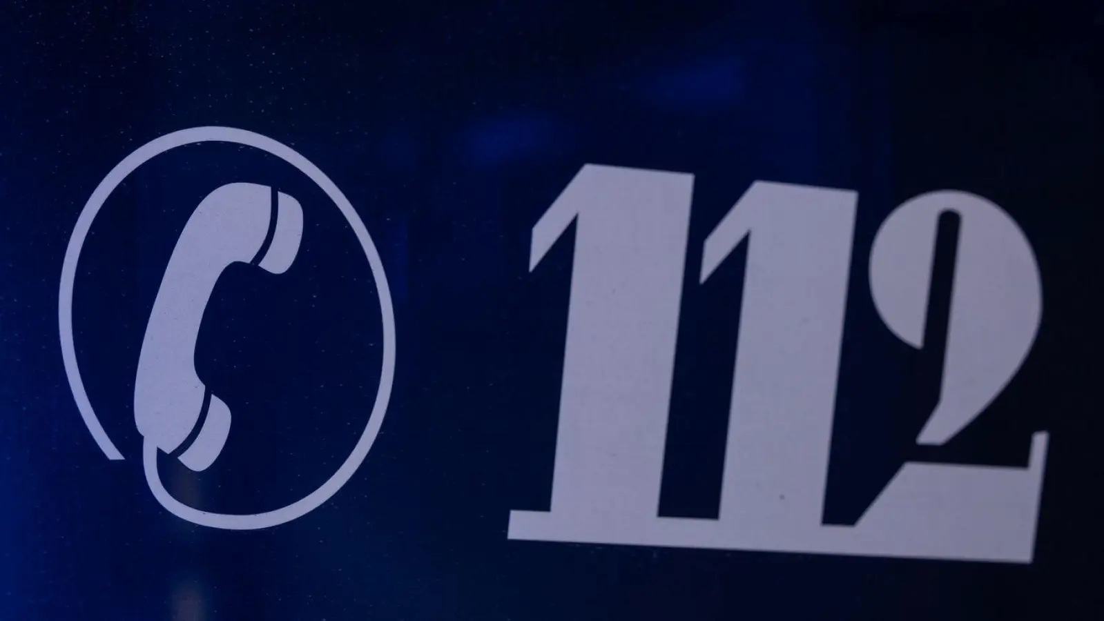 Der Rettungsdienst rückte umgehend aus. (Symbolbild) (Foto: Hannes P Albert/dpa)