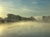 Mystische Morgenstimmung - gesehen am kleinen Linleinsee. (Foto: Matilda Hulsman)