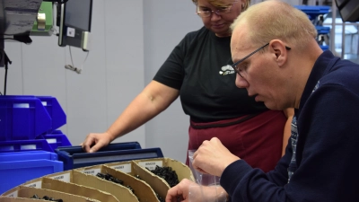 Wie läuft so ein Tag in einem Unternehmen? Das konnten Menschen, die normalerweise in der Diakoneo-Werkstatt arbeiten, bei dem Aktionstag erleben. (Foto: Florian Schwab)