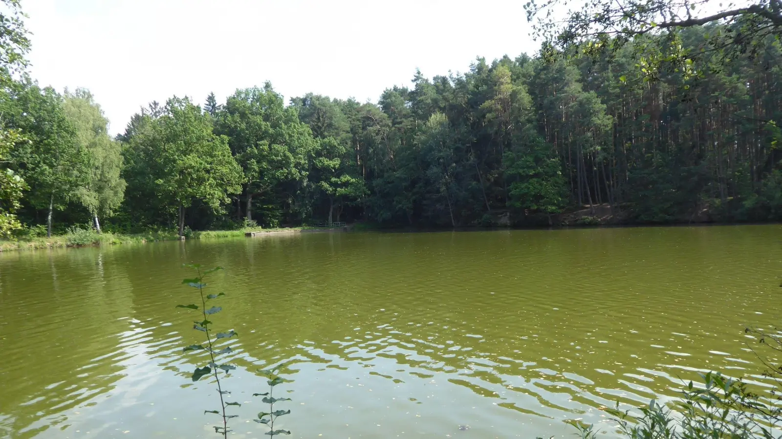 Der Krummweiher bei Bechhofen ist ein beliebtes Ziel für Schwimmerinnen und Schwimmer. Seit Dienstag ist er gesperrt. (Archivbild:  Walter Oberhäußer)