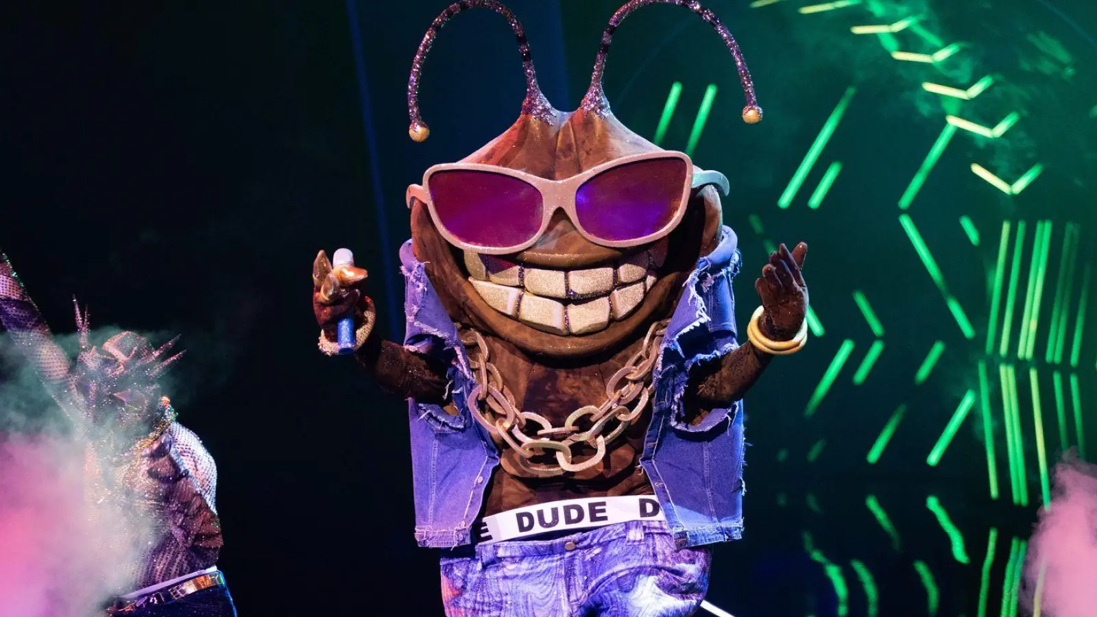 Die Stinkwanze „Dude“ ist bei der ProSieben-Show „The Masked Singer“ raus. (Archivbild) (Foto: Rolf Vennenbernd/dpa)