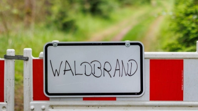 Die Waldbrandgefahr in Bayern ist hoch. (Symbolbild) (Foto: Daniel Karmann/dpa)