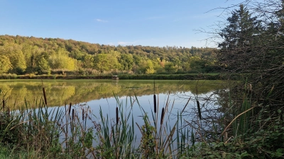 Die Zukunft des Wassers in der Gemeinde: Die Fischweiher in Neusitz liegen ruhig inmitten der wieder grünenden Natur. Der Graben zwischen und hinter den Weihern könnte künftig noch mehr Wasser zurückhalten.  (Foto: Leonie Lang)