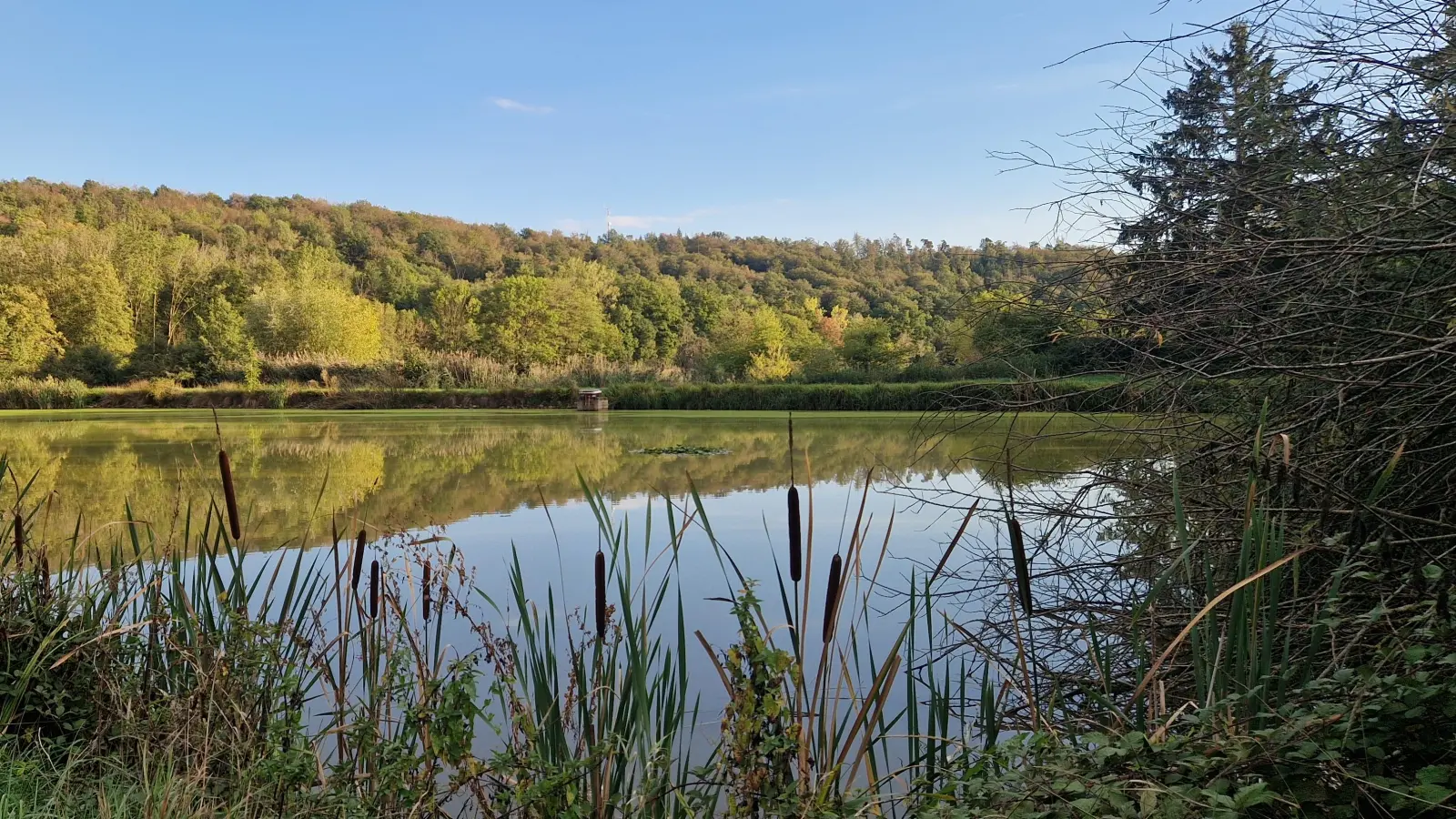 Die Zukunft des Wassers in der Gemeinde: Die Fischweiher in Neusitz liegen ruhig inmitten der wieder grünenden Natur. Der Graben zwischen und hinter den Weihern könnte künftig noch mehr Wasser zurückhalten.  (Foto: Leonie Lang)