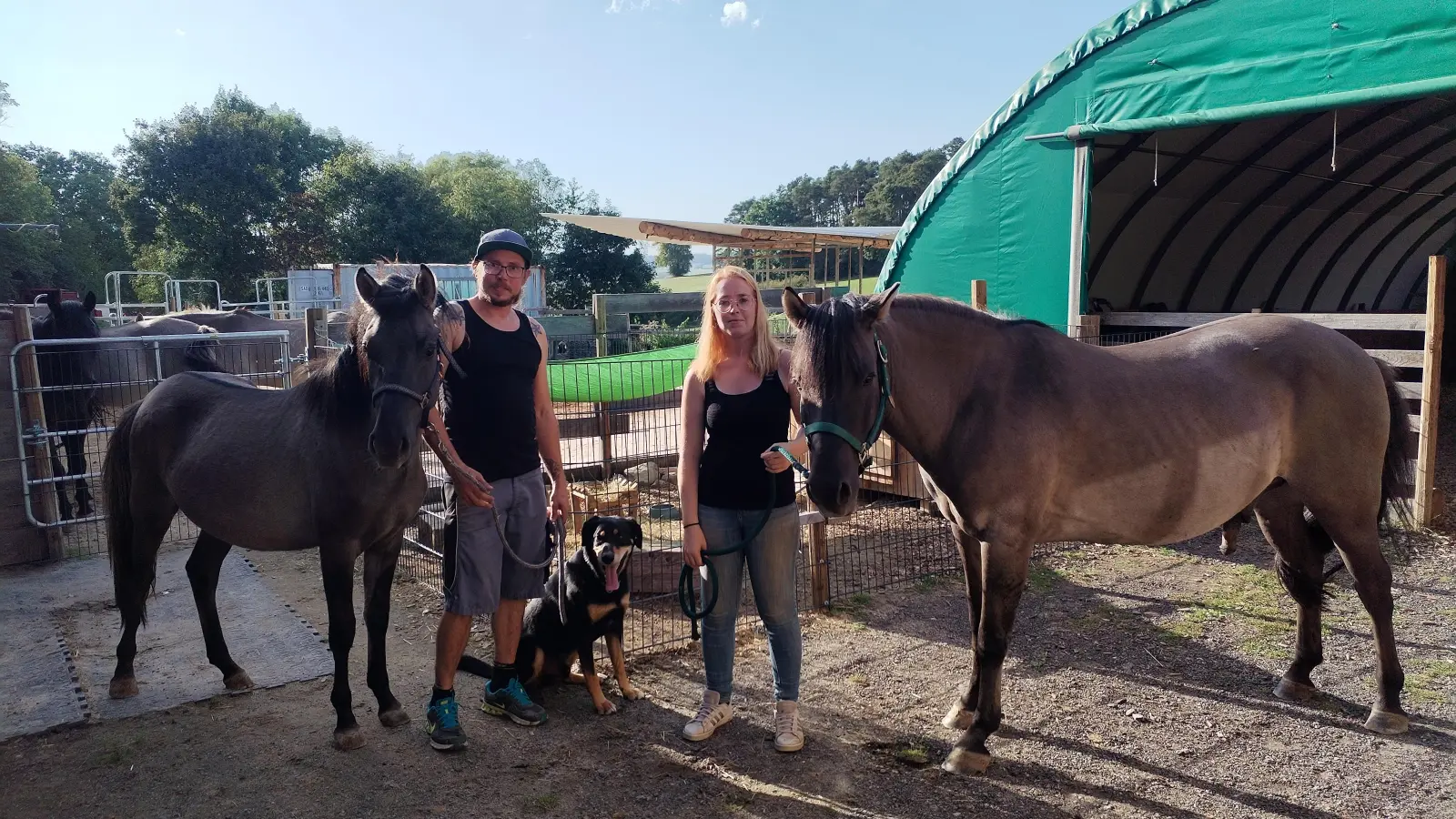 Nicole Wirth mit Wallach Alfalfa (rechts), dem Hofhund Sam, ihrem Partner Uwe Kranz und Hengst Till. Dieses Team kümmert sich darum, Lernhürden zu überwinden, Stärken zu entdecken und Selbstvertrauen aufzubauen. (Foto: Michaela Krauth)