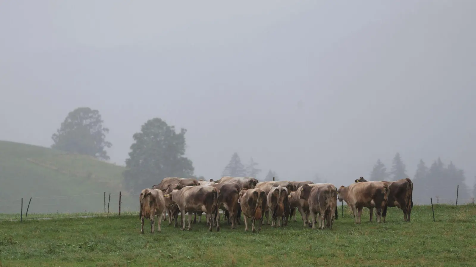 Grau in Grau statt Sonne: Der Herbst meldet sich in Bayern eindringlich. (Archivbild) (Foto: Karl-Josef Hildenbrand/dpa)