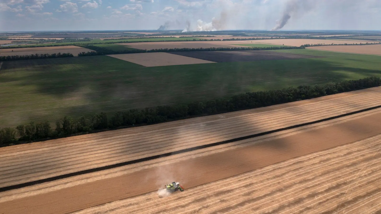 Ernte in der Region Dnipropetrowsk. (Foto: Efrem Lukatsky/AP/dpa)
