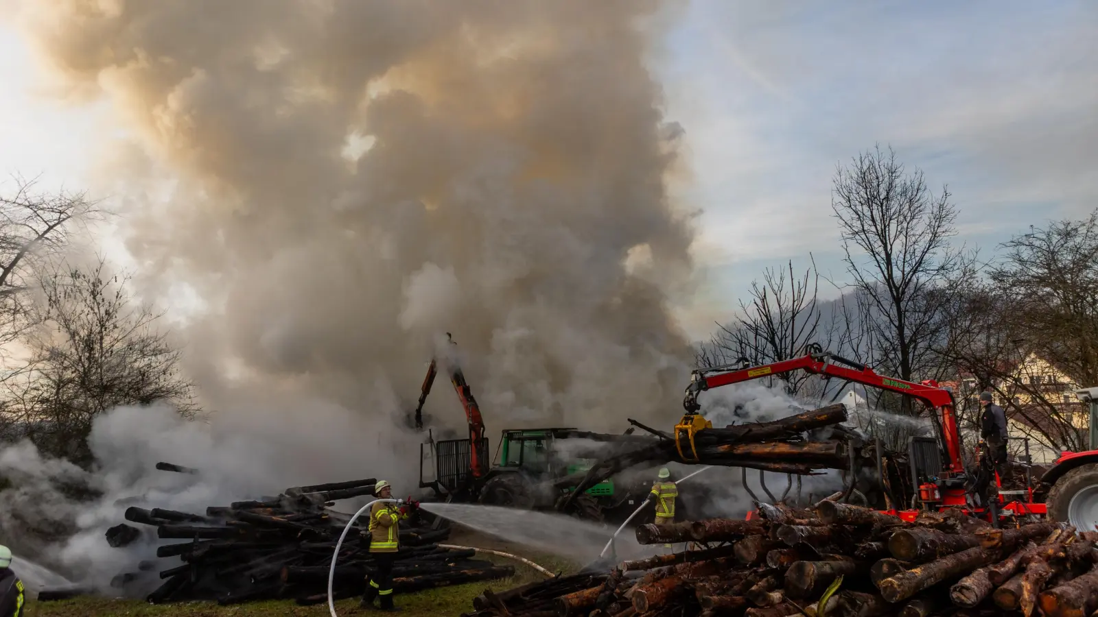 Mit Rückewagen und Kran wurden die Stämme vom Stapel geholt. (Foto: Evi Lemberger)