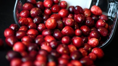 Kugelrund und leuchtend rot: Cranberrys haben aktuell Saison. (Foto: Sina Schuldt/dpa-tmn)
