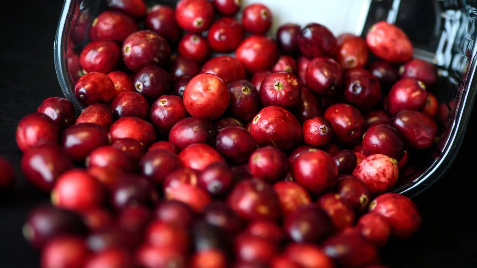 Kugelrund und leuchtend rot: Cranberrys haben aktuell Saison. (Foto: Sina Schuldt/dpa-tmn)