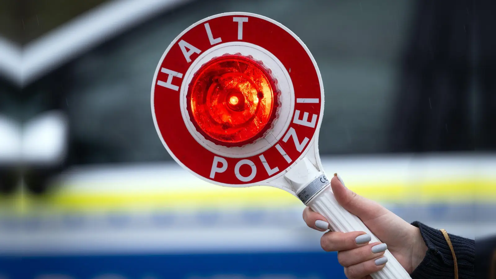Die Beamten stellen bei der Kontrolle fest, dass die Kennzeichen nur aus Papier sind. (Symbolbild)  (Foto: Soeren Stache/dpa)
