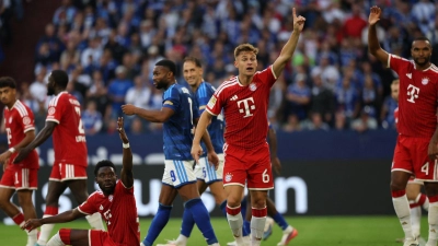 Der FC Bayern München kam gegen den FC Schalke 04 nicht über ein Remis hinaus. (Foto: Fabian Strauch/dpa)