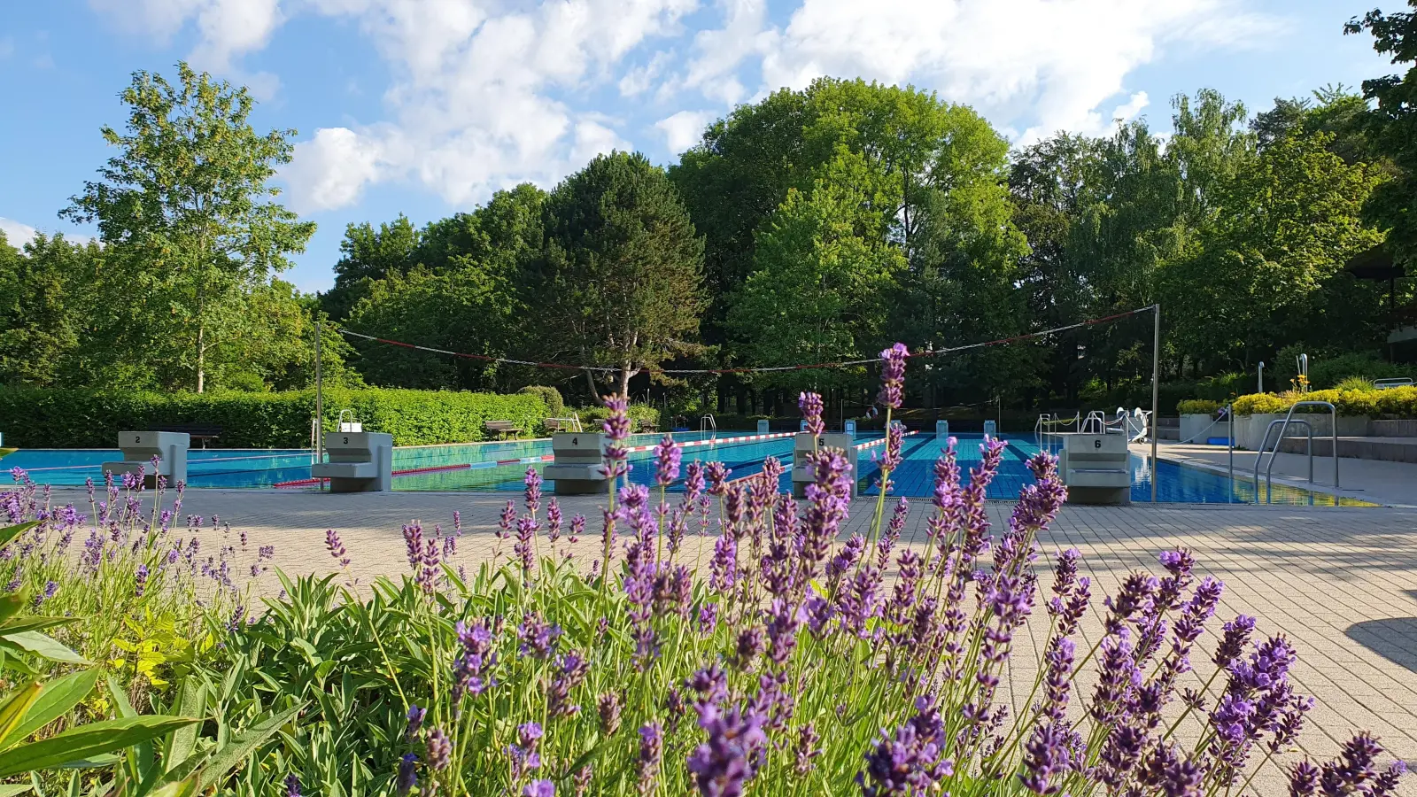 Freibad, Schwimmerbecken (Foto: Eva Baum)