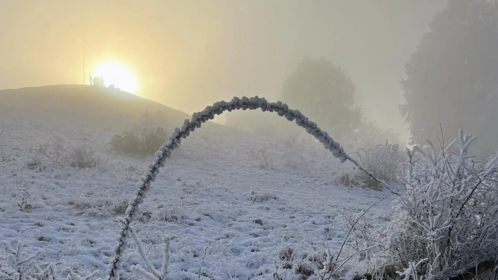 Frostige Natur am Hesselberg. (61 Stimmen) (Foto: Nadja Huber)