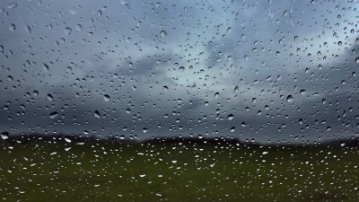 Mit dem Regen sinkt die Waldbrandgefahr in Bayern. (Archivbild) (Foto: Karl-Josef Hildenbrand/dpa)