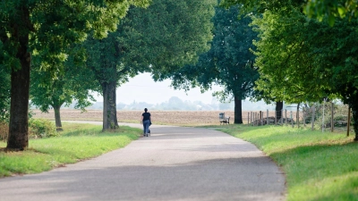 Neben Schauern gibt es am Wochenende auch längere sonnige Abschnitte.   (Foto: Uwe Anspach/dpa)