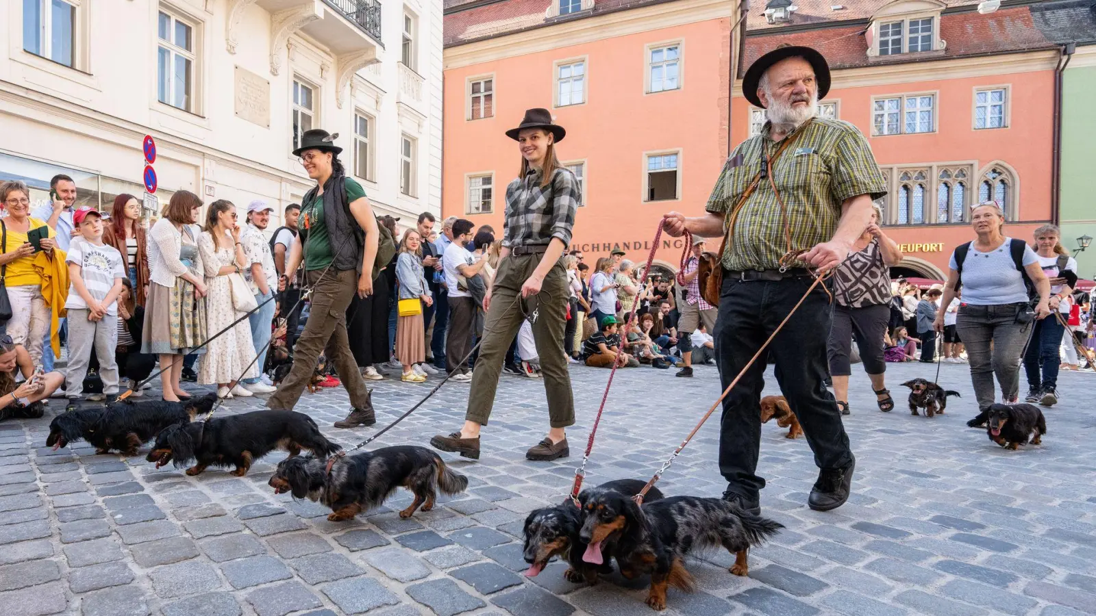 Auf der letzten Dackelparade spazierten mehr als 1.000 der kurzbeinigen Hündchen mit ihren Besitzerinnen und Besitzer durch die Stadt. (Archivbild) (Foto: Armin Weigel/dpa)