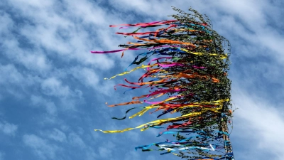 Am Niederrhein ist ein Maibaum umgekippt - es gibt mehrere Verletzte. (Illustration) (Foto: Federico Gambarini/dpa)