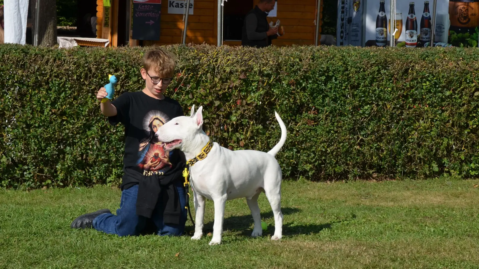 Der elfjährige Sean Hermans aus Belgien gewann mit dem Bullterrier-Rüden Rambo Gold im „Junior Handling“. (Foto: Yvonne Neckermann)