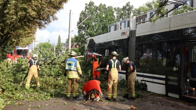 In Mannheim stürzte ein Baum auf eine Straßenbahn. (Foto: Rene Priebe/dpa)