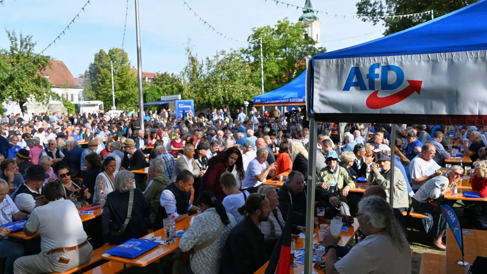 Die AfD hielt ihre Kundgebung auf der Schlosswiese in Abensberg ab. (Foto: Sven Hoppe/dpa)