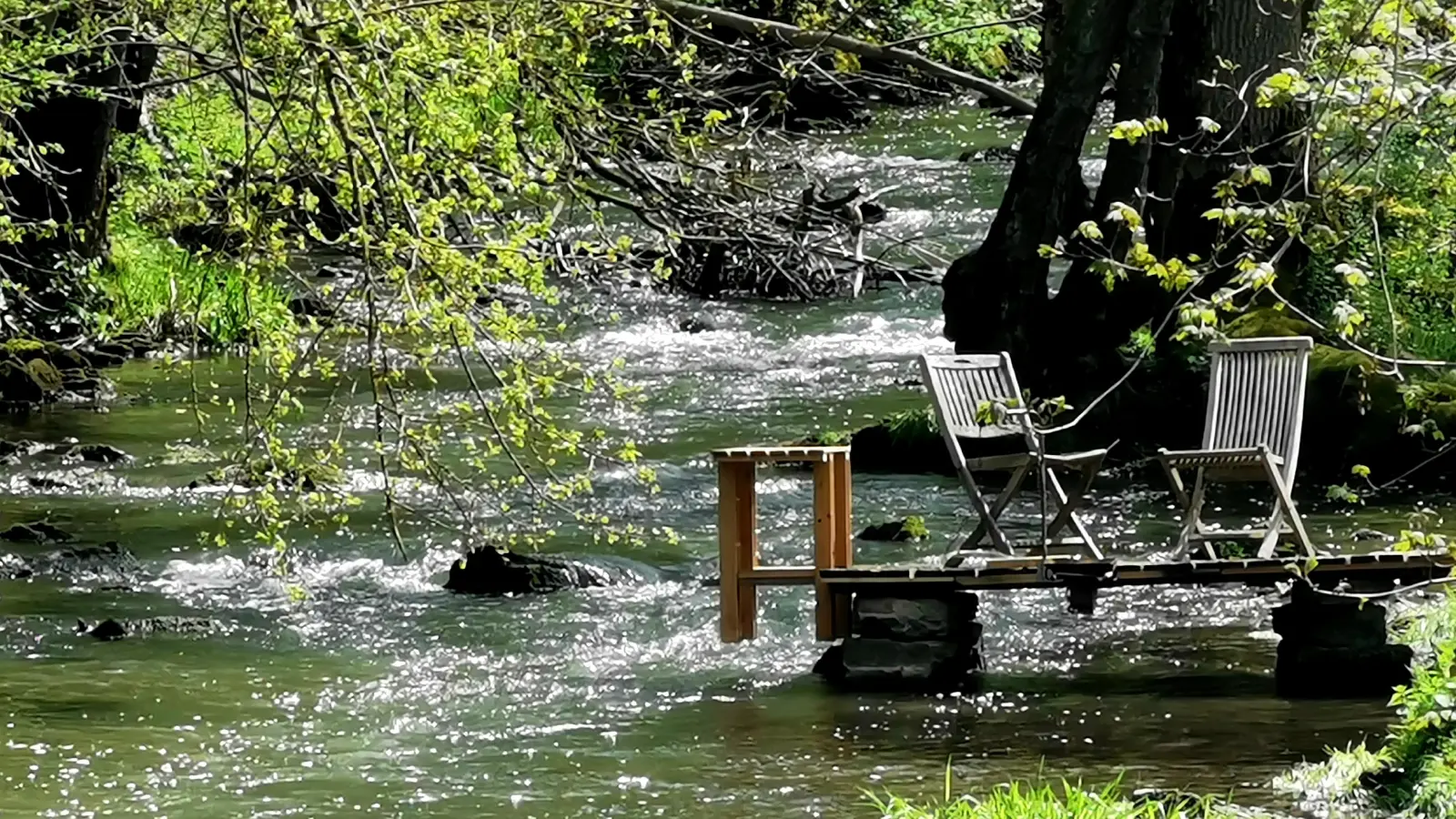 Ein lauschiges Plätzchen - gesehen im Taubertal. (Foto: Klaus Zerkowski)