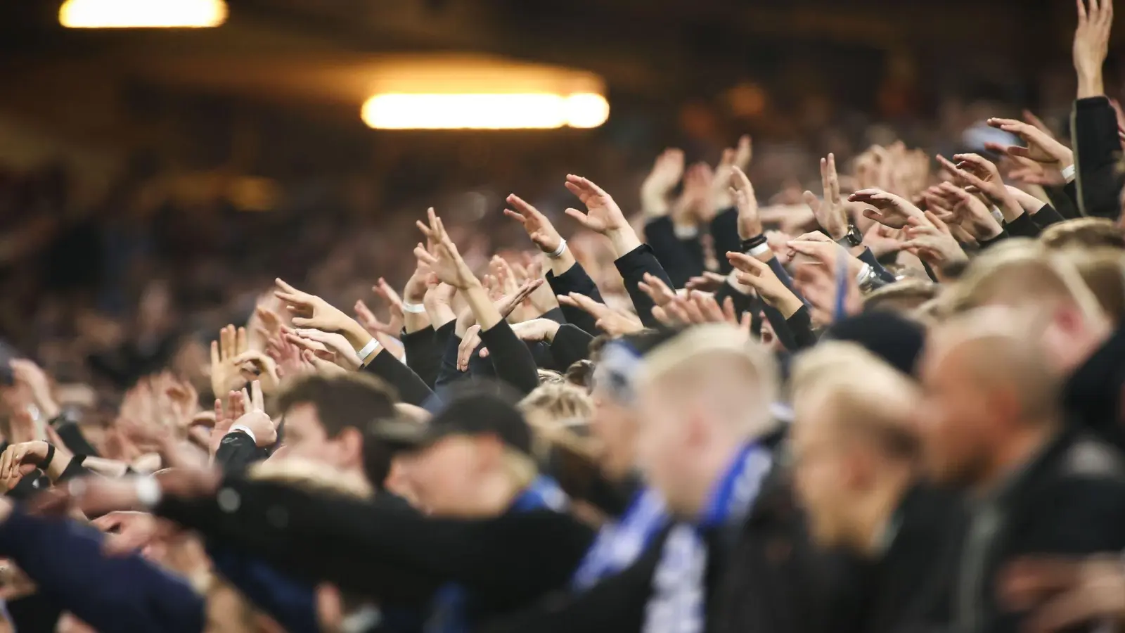 Fußballfans jubeln im Stadion. (Foto: Christian Charisius/dpa/Symbolbild)