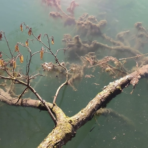 Blick ins Bodenlose Loch - gesehen bei Unteroestheim (Foto: Lucia Schauer)