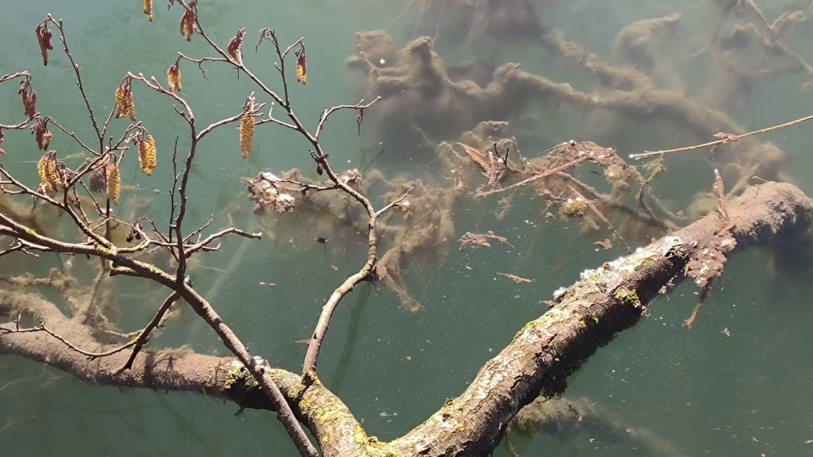 Blick ins Bodenlose Loch - gesehen bei Unteroestheim (Foto: Lucia Schauer)