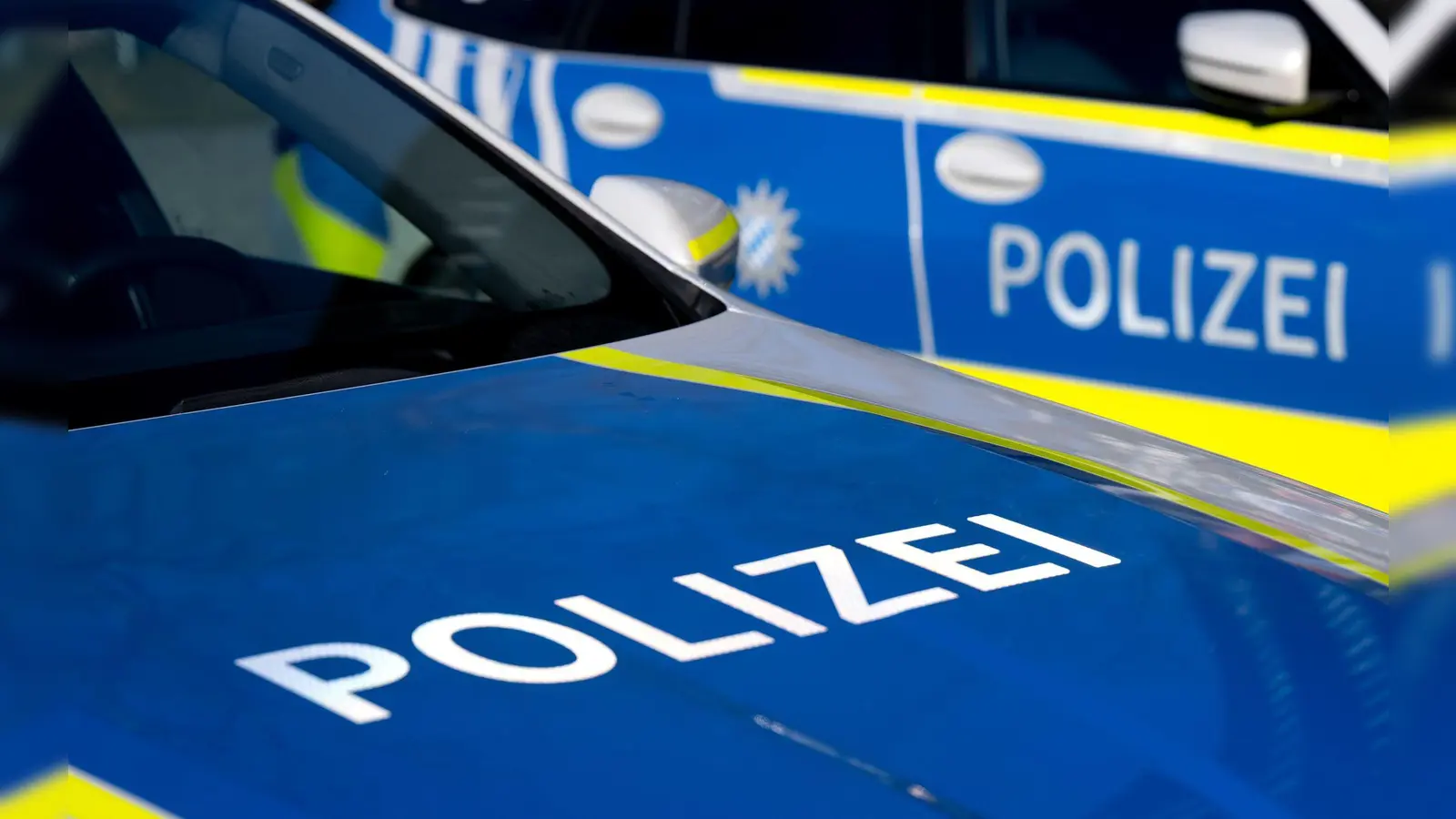 Die Polizei konnte das verdächtige Auto nach kurzer Zeit aufspüren. (Symbolbild) (Foto: Sven Hoppe/dpa)