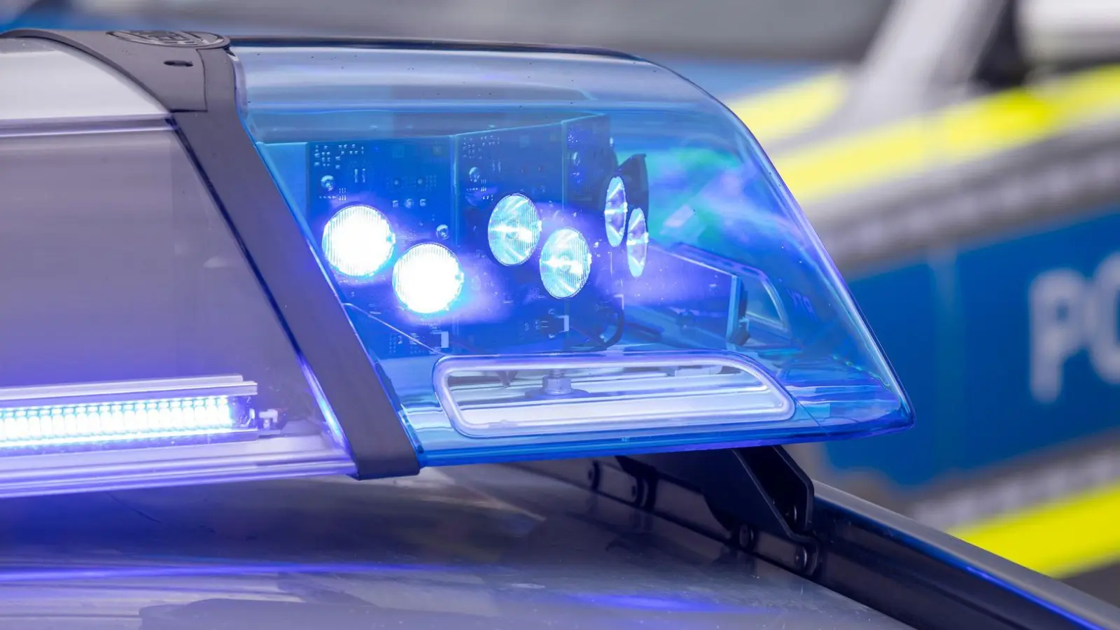 Im Landkreis Erding haben Ermittler bei zwei Brüdern zahlreiche Waffen und Munition gefunden. (Symbolbild) (Foto: Daniel Karmann/dpa)