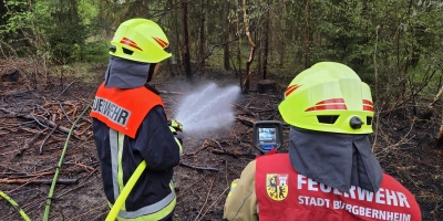 Zahlreiche kleinere Bäume sowie viel Unterholz wurden am späten Dienstagnachmittag in einem Waldstück bei Burgbernheim von Flammen vernichtet.  (Foto: Rainer Weiskirchen)