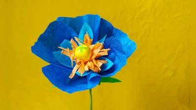 Blumen aus Krepppapier basteln - eine nachhaltige Idee und ideal für Allergiker. (Foto: Isabelle Modler/dpa-tmn)