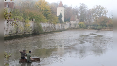 Vor der Kulisse der Dinkelsbühler Altstadt erleben die Besucherinnen und Besucher der Fischerntewoche den Karpfenfang. (Foto: Martina Haas)