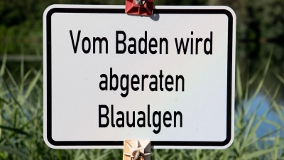 Am Bismarckweiher in Südbayern und am Untreusee in Nordbayern sind Blaualgen nachgewiesen worden. (Symbolbild) (Foto: Julian Stratenschulte/dpa)