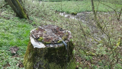 Das ist die Hardgrabenquelle I, die bei Wasserproben gute Nitratwerte lieferte. Sie gilt nicht als Messstelle, sondern nur die 15 Meter entfernte Hardgrabenquelle II, bei der mehr Nitrat nachgewiesen wurde. (Foto: Ulli Ganter)